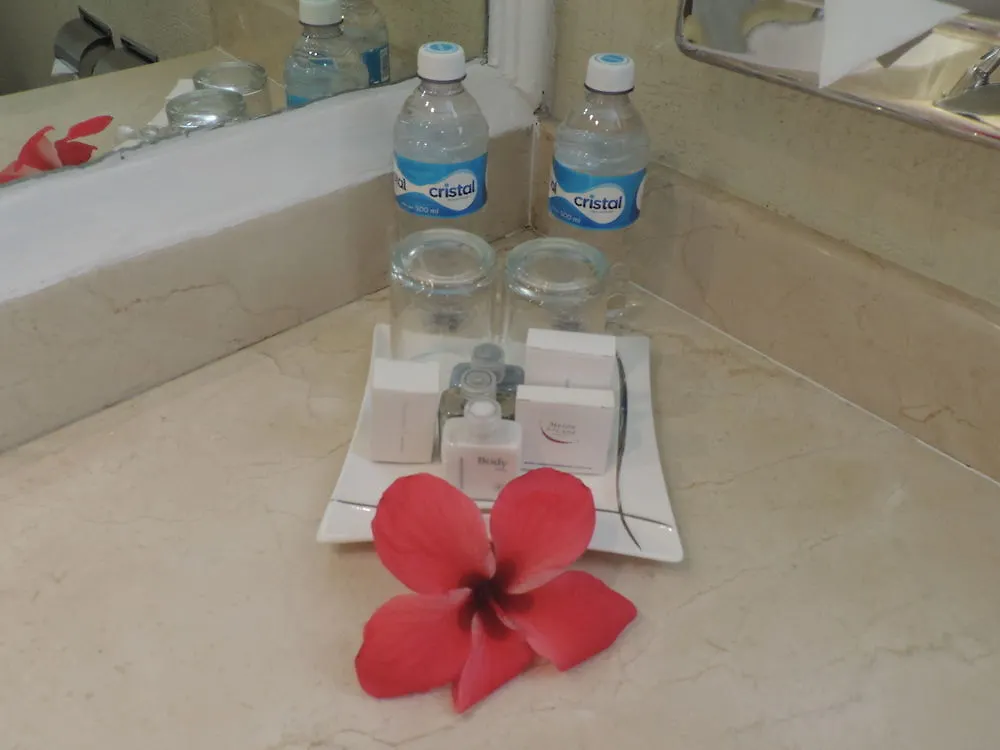 Hacienda Del Caribe Hotel بلايا ديل كارمن 3*,